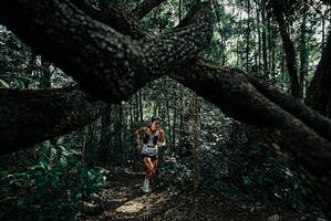 BIB: 
                            <button type="button" onclick="openModal(25663396)" class="btn btn-primary btn-sm float-right btn-popup" data-toggle="modal" data-target=".modal-high-quality">
                        <i class="fas fa-shopping-cart"></i> Add to Cart
                    </button>
                                            <button type="button" onclick="isThisMe(25663396, true)" class="btn btn-success btn-sm float-right btn-popup btn-isme hidden" data-toggle="tooltip" data-placement="bottom" title="นี่คือรูปของคุณใช่ไหม คลิกที่นี่เพื่อเอาเข้าอัลบั้ม">
                        <i class="fas fa-plus"></i> Add to album
                    </button>
                    <button type="button" onclick="isThisMe(25663396, false)" class="btn btn-warning btn-sm float-right btn-popup btn-isnotme hidden">
                        <i class="fas fa-ban"></i> Remove from album
                    </button>